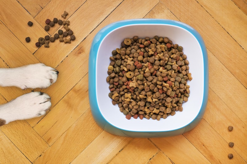 Pet Products
